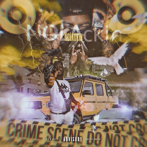 lil Wildlife- Intro