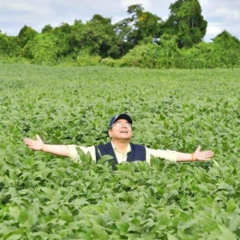 ¿Hasta cuándo la agrobiotecnología para Bolivia?