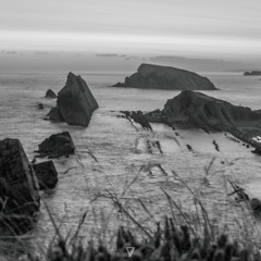 Fiordland - Backwater