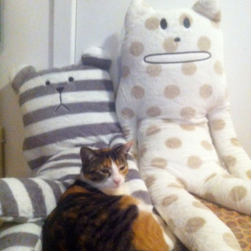 tana - magic city *snippet* (zaytoven&zeegoinxrazy)