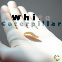 WHITE CATERPILLAR (Original | Amando Grün)