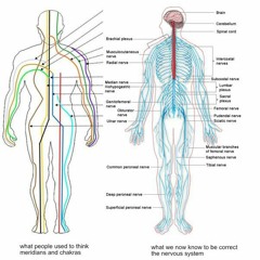 Microcircuit- The Secondary System