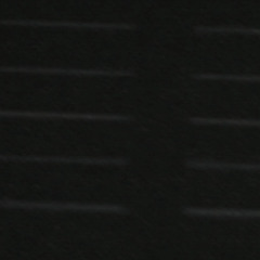 CAPTURE