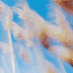 Rising Sun - Walk with Me (Essay)