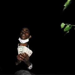 1tappworky - FREESTYLE