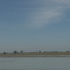 Nhạc của tuiiii