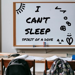 I Can't Sleep (Instrumental)