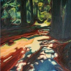Douglas Firs