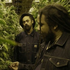 DAMIAN MARLEY*STEPHEN MARLRY*WIZ KHALIFA*TY DOLLA $IGN* ~MEDICATIONS~BETWEEN THE SHEETS~