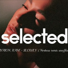 AVAION, RANI - SLOWLY ( Norbess remix unofficial)