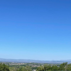 'Joy' by Karys Frank