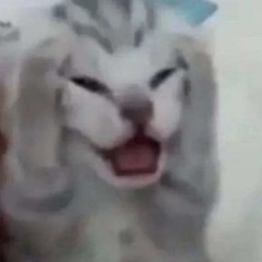 i hate summer ★ + mary