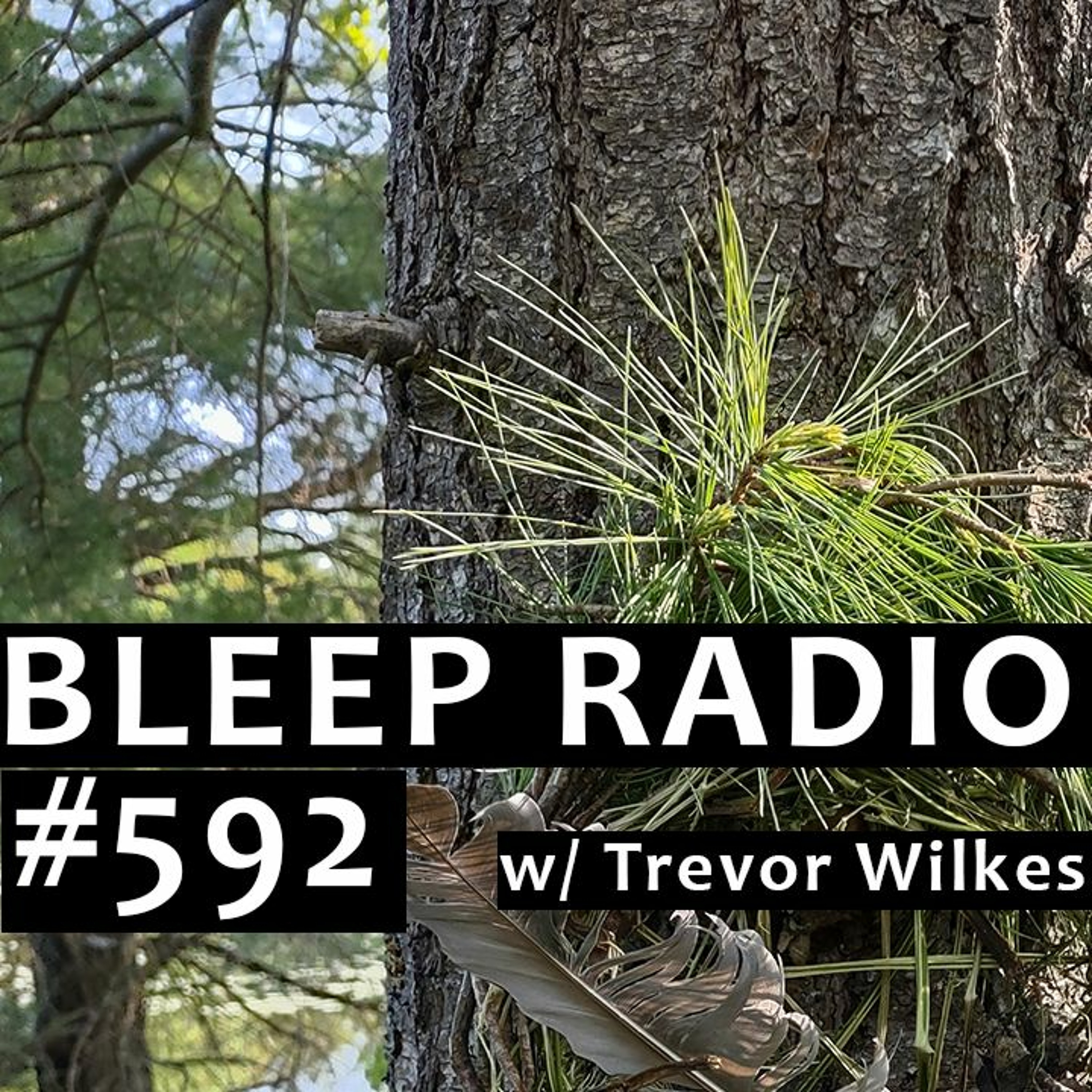 Bleep Radio w/ Trevor Wilkes