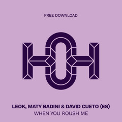 HLS378 LeoK, Maty Badini & David Cueto (ES) - When You Roush Me (Original Mix)