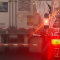 Sephora prod. fish narc + remghost