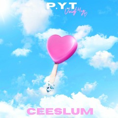 P.Y.T(feat .ceeslum)