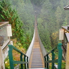 Walking on a Dream (Empire of the Sun Cover)