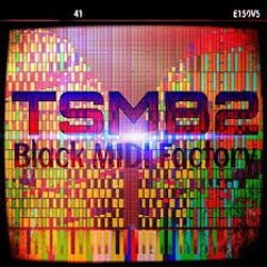 TSMB2 - Vinner