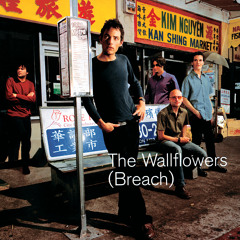 Sleepwalker (Album Version)