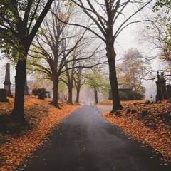 cemetery (chill dark beat)