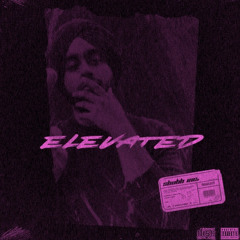 Elevated - Shubh ( Bass Boosted )