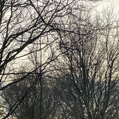 the world spins (Julie Cruise)