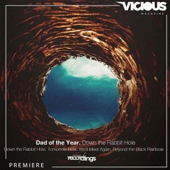 PREMIERE: Dad Of The Year - Down The Rabbit Hole [Stripped Recordings]