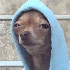 Limp Bizkit Let The Dogs Out