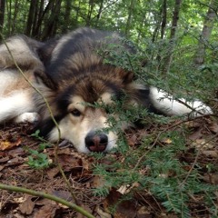 what u said (prod. fubar)