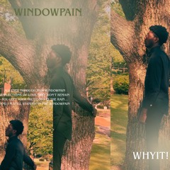 WINDOWPAIN