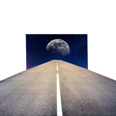 The Trip by Michele Conte (Original)