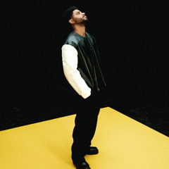 BRYSON'S DILEMNA (CIAO! JUNGLIST EDIT)