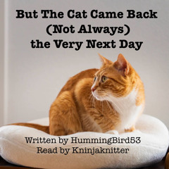 4 But The Cat Came Back (not Always) The Very Next Say By HummingBird53