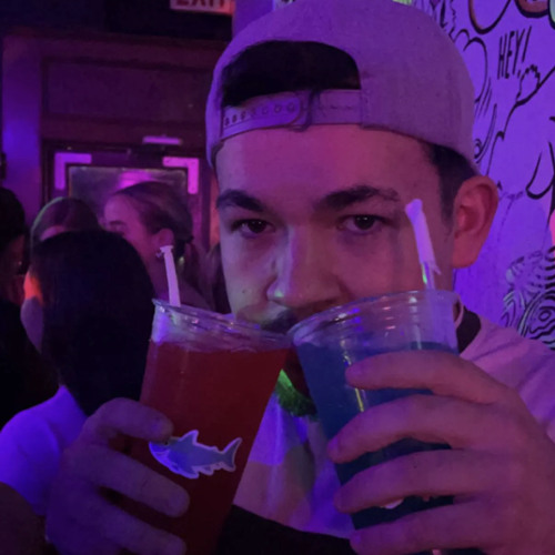 Stream White Girl x Levels by Blaise Listen online for free on SoundCloud