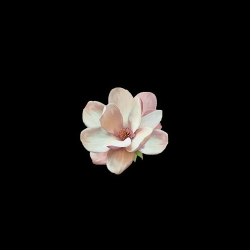 YOUR TOUCH ft. Trippie Redd