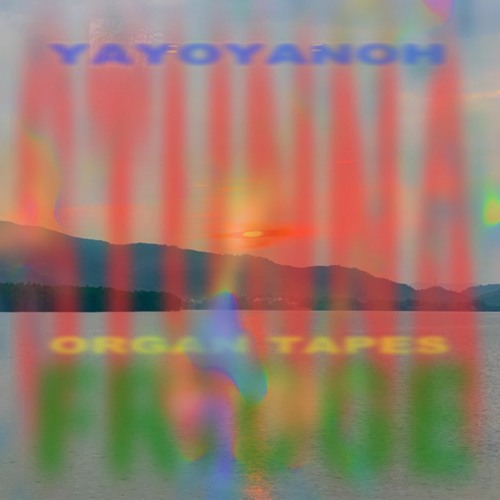 Fridge, Organ Tapes & Yayoyanoh - Stunna