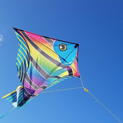 You can't catch a happy (Remix 2026)