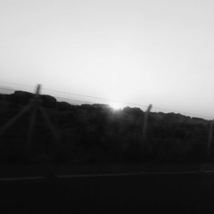 drink the blood but choke on the bone