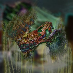 disappearance