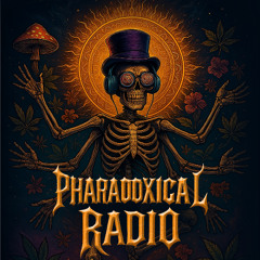 PHARADOXICAL RADIO - EP AGOSTO