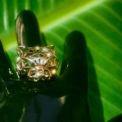 WR3-Confinement Grooves