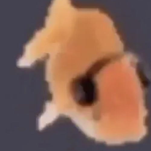 The Playlist To Send When People Ask What Music I Like