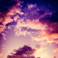 halF kitE [naviarhaiku320]
