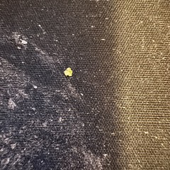 jorja smith - the way i love you (L0$Tdotcufsed. remix)