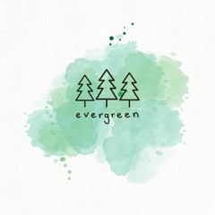 Evergreen