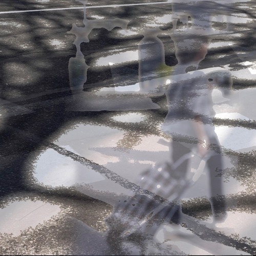 web echoes #9 w/ Minka (01/06/25)