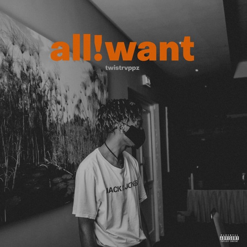 All I Want is you (feat.MaxXx)