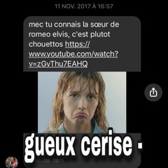 Gueux Cerise - bitch black block banquet