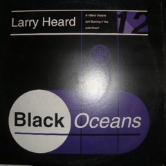 Larry Heard - Black Oceans (+2%)