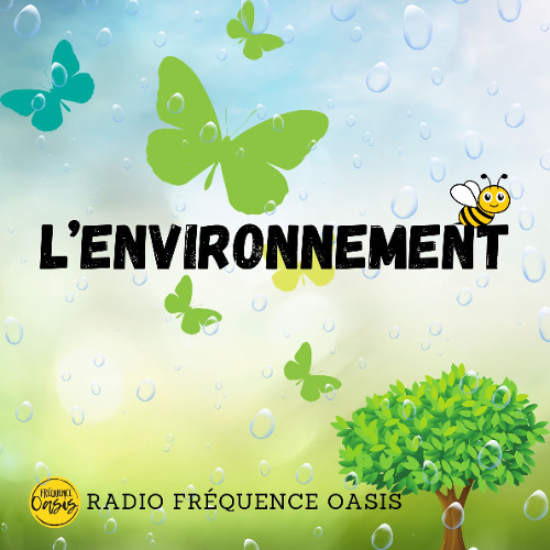 I-MAT-JME-023-04 APPER une association de la protection du patrimoine naturel et du vivant avec sa présidente-16min24